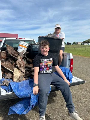 Sitting in the back of a pickup truck full of bark