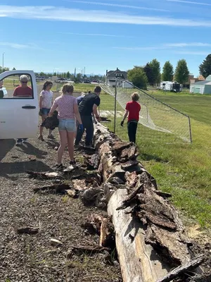 Youth next to a line of logs gathering loosened bark