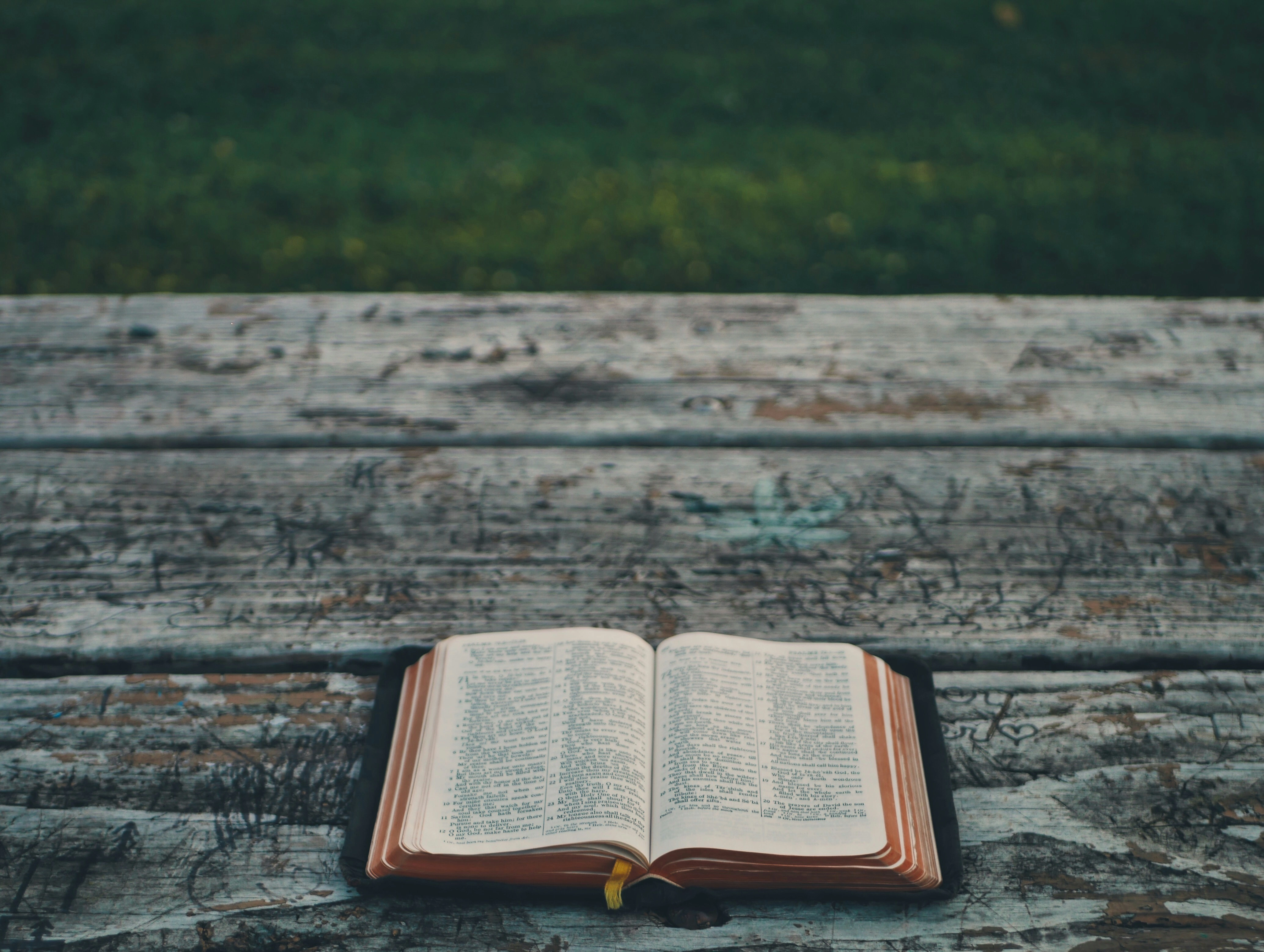 Bible open on a picnic table