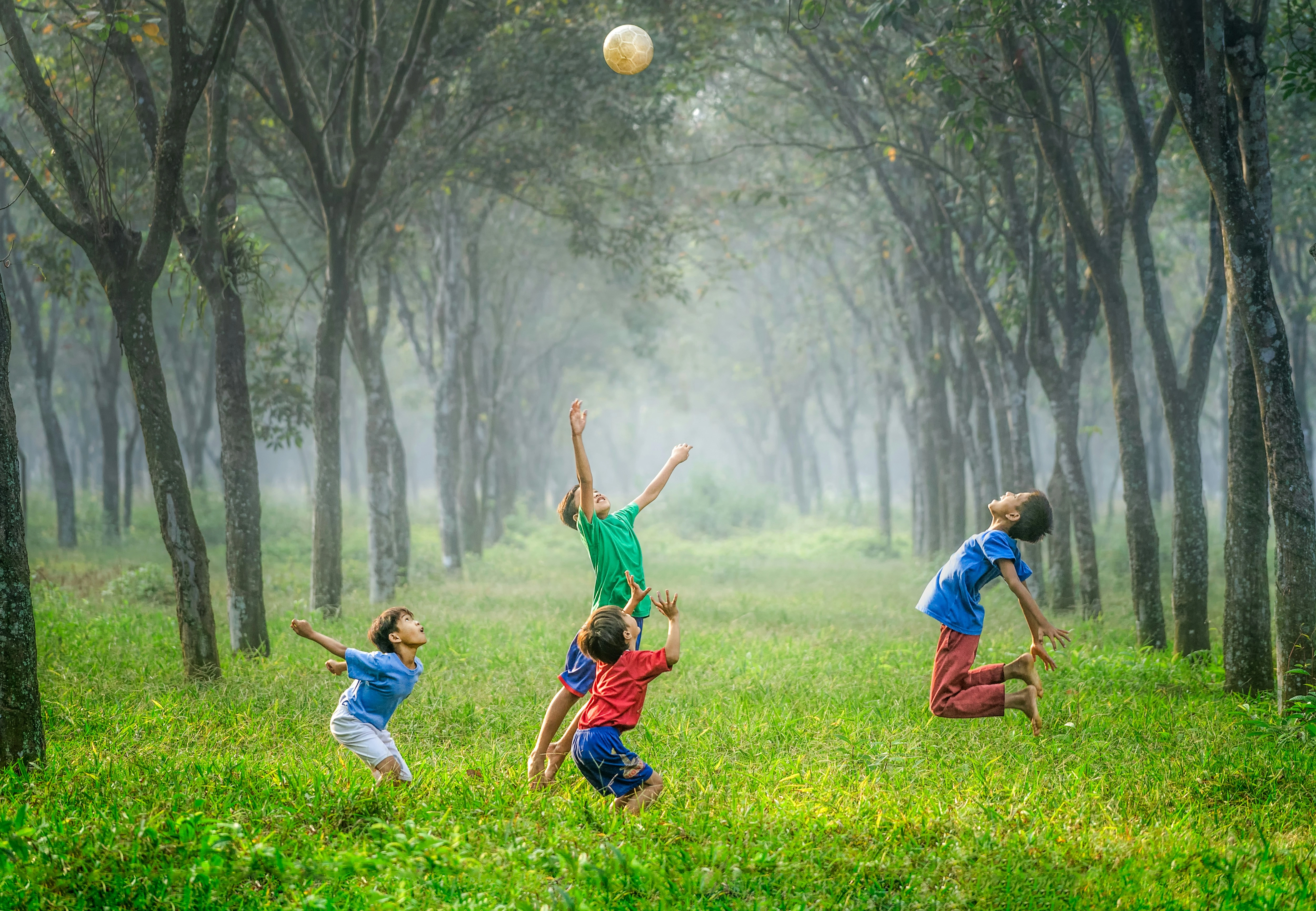 Kids tossing a ball into the air in a grove of trees and grass